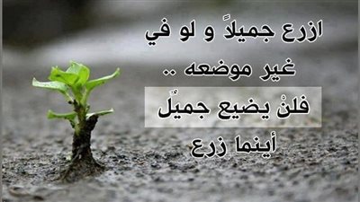 قصة يحكى ان رجل تزوج امرأتين