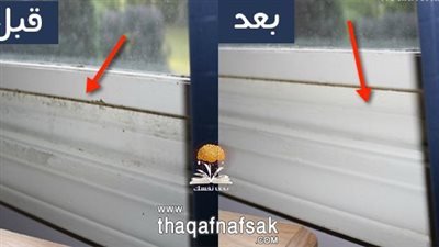 3 طرق لتنظيف العفن من حواف النوافذ