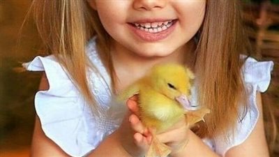 روايه جديده بقلم رونى محمد