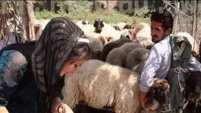 قصة العيش والملح