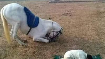 ټوفيت زوجة أبي الأولى وتركت خلفها ابنة واحدة عمرها 15 سنة