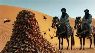 من هو الصحابي الذي أرسل الله له جيشاً من النحل لحمايته من المشركين