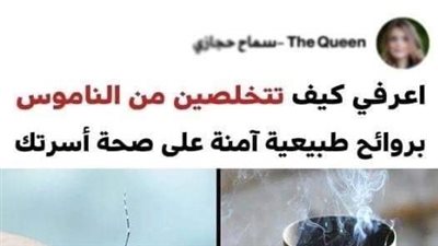 روائح طبيعية سوف تساعدك في التخلص من الناموس بطريقة آمنة على صحة أسرتك
