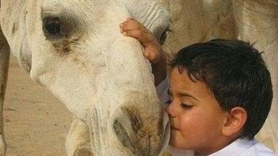 قصة اليهودي والخاتم