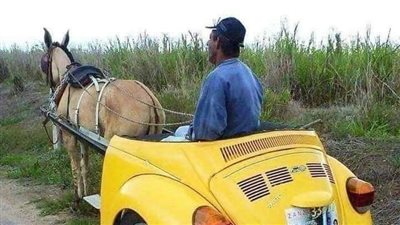 القناعه
