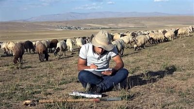 قصة راعي الغنم الذي قرر الزواج من فتاة ليتفاجئ بردها