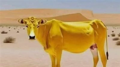 قصه وعبره