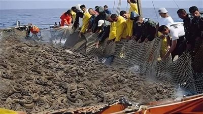 عثروا على صندوق تحت الأرض عمره 700 عام، وعندما فتحوه وجدوا مفاجأة صاډمة