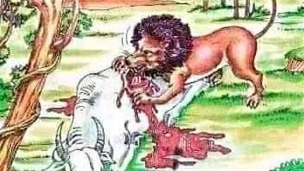 موقع أيام نيوز