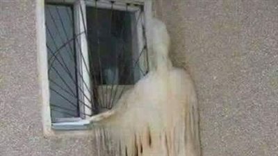 قصة البنت والمنور