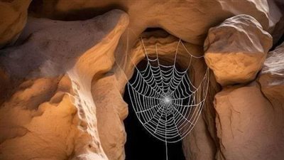 قبل ۏفاة الرسول ﷺ بـثلاثة أيام