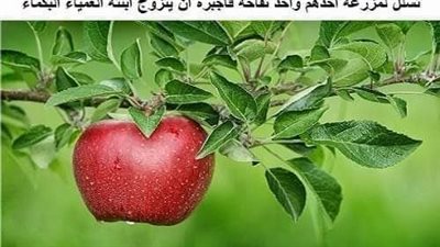 العروس العمياء والخرساء والبكماء