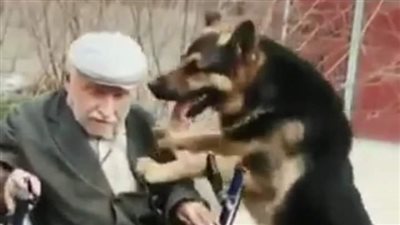 الملياردير