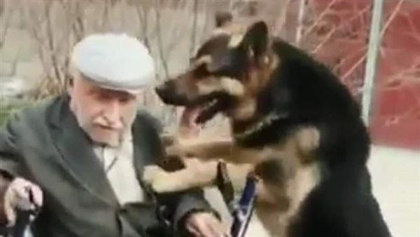 موقع أيام نيوز