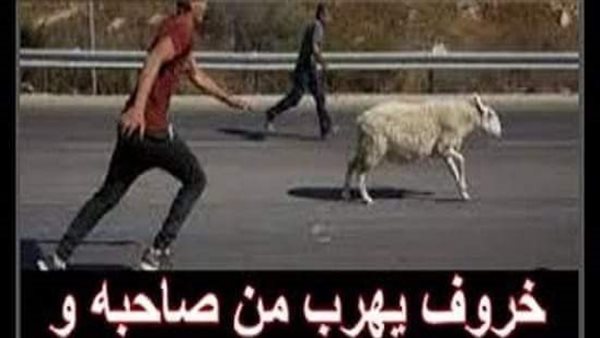 موقع أيام نيوز