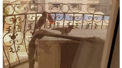  رسائل ربانيه