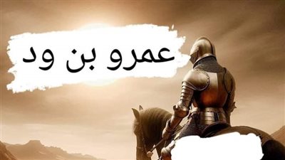 عمرو بن ود