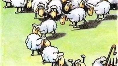 قصه وعبرة