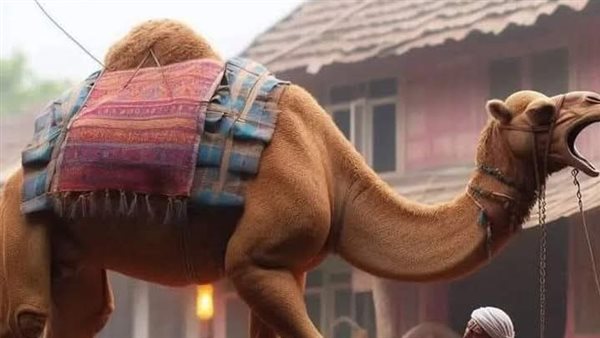 موقع أيام نيوز