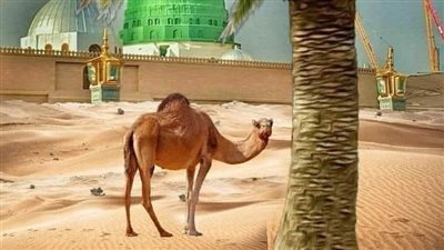 عندما طعن سيدنا عمر
