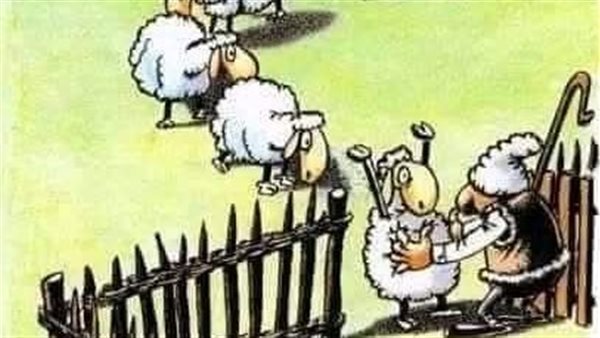 موقع أيام نيوز