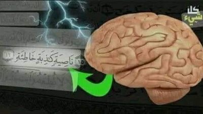 ناصية كاذبه