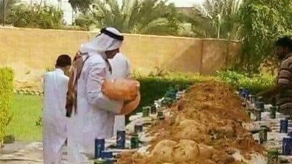 موقع أيام نيوز