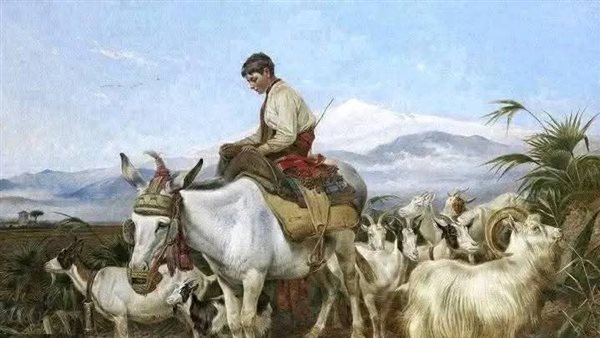 موقع أيام نيوز