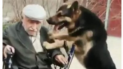 الملياردير