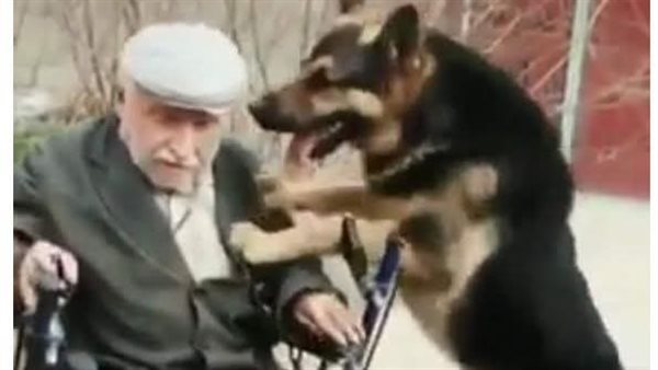 موقع أيام نيوز