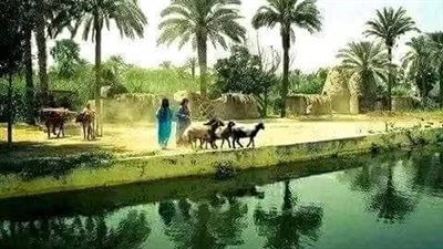 عندما جاء التلفزيون إلى بيتي