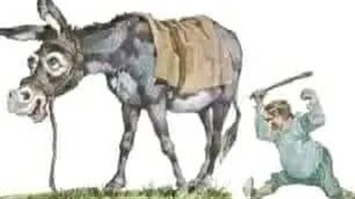 حين يكون الحمار في غير مكانه