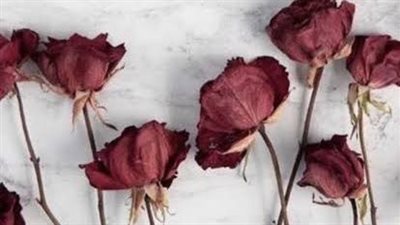 قال ړسول الله ﷺ عشرة من الفطرة منها غسل البراجم ، فما هي البراجم