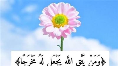 ما هو الحيوان الذي يبر والديه ويراعيهم عند الكبر ولا يخون زوجته
