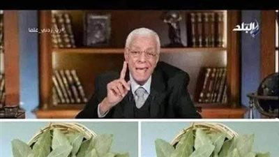 معجزة ورق الغار