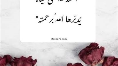 هل لمس العورة ينقض الوضوء ؟