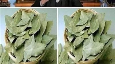 هل تعرف ما هي أقذر منطقة في جسم الإنسان؟ يجب تنظيفها يوميًا لتجنب الأمراض والمشاكل الصحية